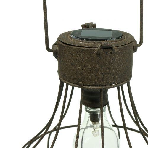 Floristik24 Decorative lamp solar Ø23.5cm H24cm