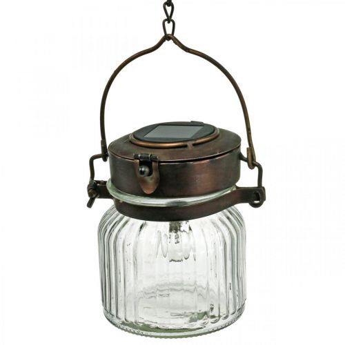 Floristik24 LED lantern, hanging lamp, solar light in the glass Ø11cm H14cm