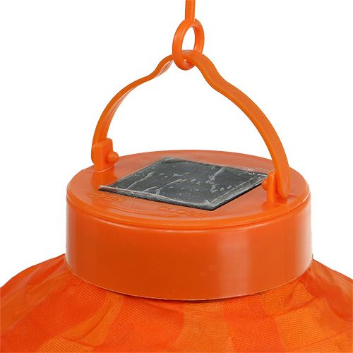 Floristik24 Lampion LED with solar 20cm orange