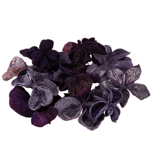 Product Landlotus Mix Lotus pods Sterculia Blackberry Old Pink 50pcs