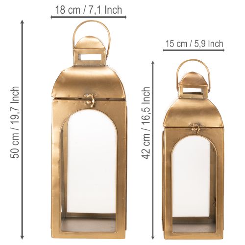 Lantern metal glass metal brass look H50cm set of 2 | Floristik24.ie