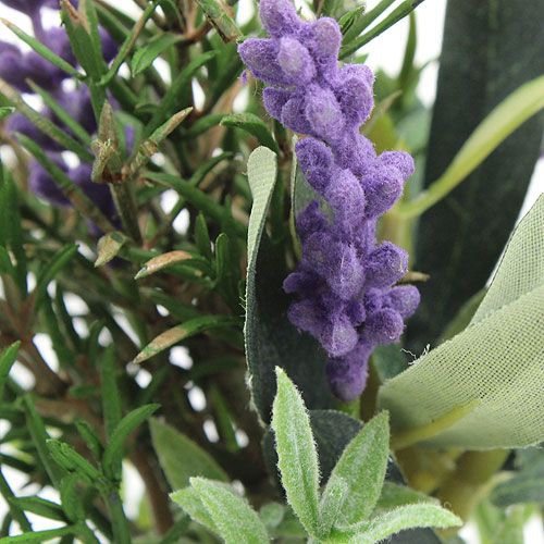 Floristik24 Lavender-rosemary bunch 20cm
