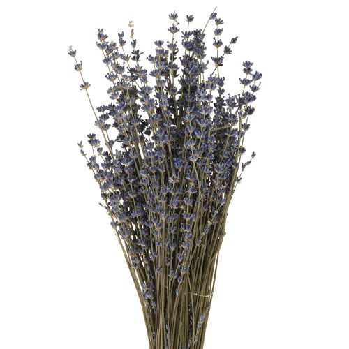 Lavender Dried Flowers Decoration Natural 100g 40cm 100g × 2pcs