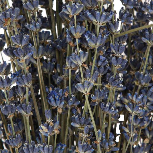 Floristik24 Lavender Dried Flowers Decoration Natural 100g 40cm 100g × 2pcs