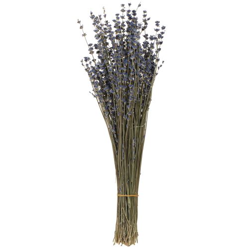 Floristik24 Lavender Dried Flowers Decoration Natural 100g 40cm 100g × 2pcs