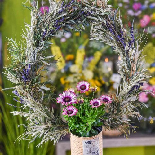 Product Dried lavender bouquet, decorative dried flower, blue, 75g, 25cm