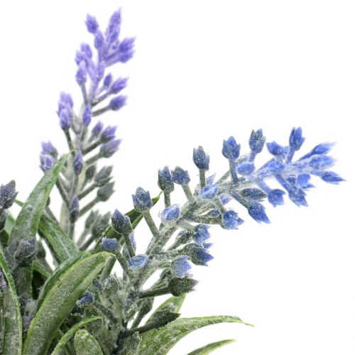 Floristik24 Lavender in a jar H15cm