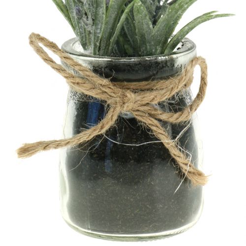 Floristik24 Lavender in a jar H15cm