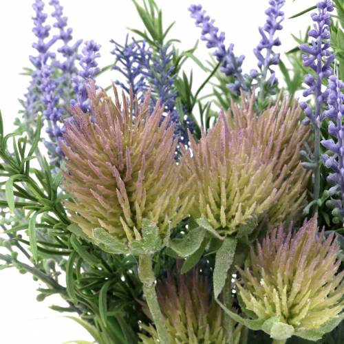 Floristik24 Herb bundle lavender, rosemary, thistle 40cm