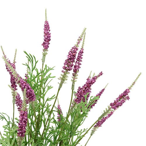 Floristik24 Lavender bush purple 43cm