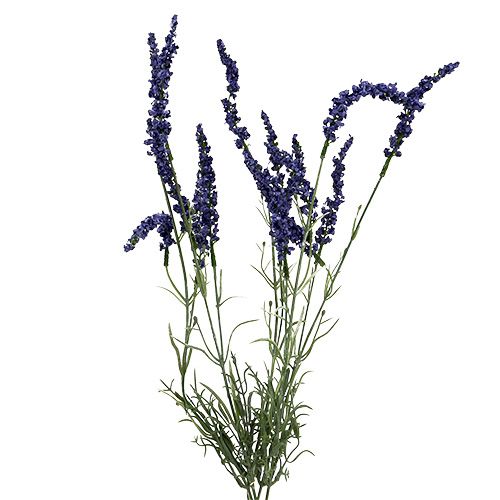 Lavender bush 55cm blue