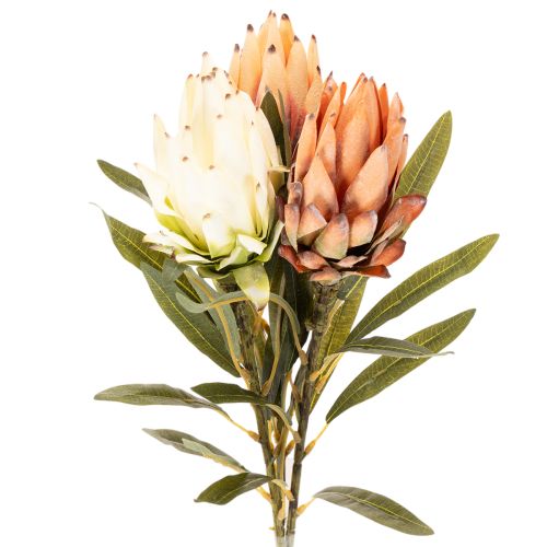 Artificial Protea Leucadendron flower with long stem, 65cm, 3 pieces