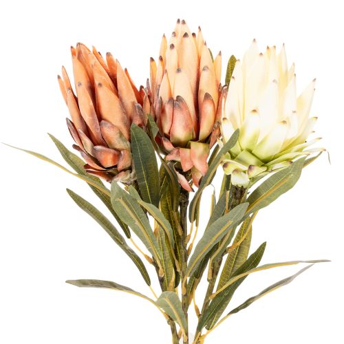 Artificial Protea Leucadendron flower with long stem, 65cm, 3 pieces | Floristik24.ie
