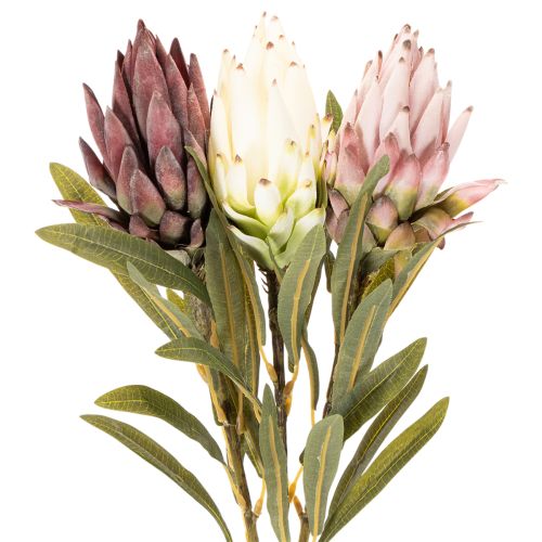 Protea artificial flower Leucadendron 100cm 3pcs | Floristik24.ie