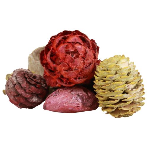 Product Leucadendron cones Bellgum Green Red Yellow Frosted 300g