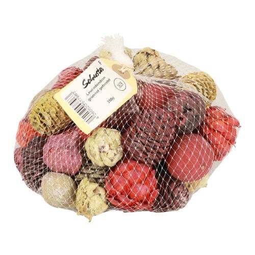 Product Leucadendron cones Bellgum Green Red Yellow Frosted 300g