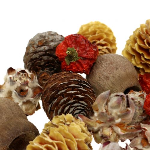 Floristik24 Exotic mix of dried fruits and cones natural 500g