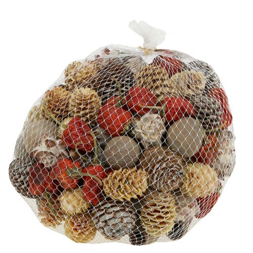 Floristik24 Exotic mix of dried fruits and cones natural 500g