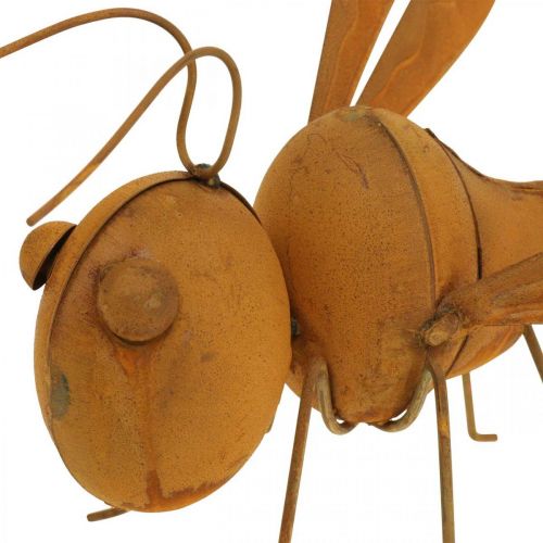 Floristik24 Decorative dragonfly, bed decoration, garden figure patina L28cm H21cm