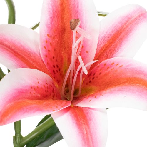 Product Artificial lily for stylish living room decoration and realistic appearance, 67cm, 2 pieces
