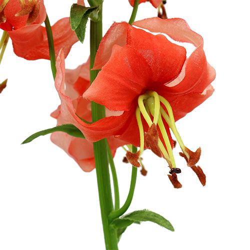 Floristik24 Lily 87.5cm salmon