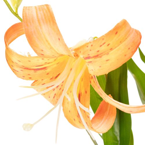 Product Artificial lilies, decoration for weddings and events, 77cm, 4 pieces