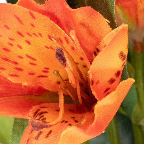 Artificial Alstroemeria Orange flower, artificial bouquet decoration, 75cm, 3 pieces | Floristik24.ie