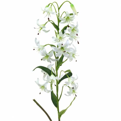 Floristik24 Lily white 82cm