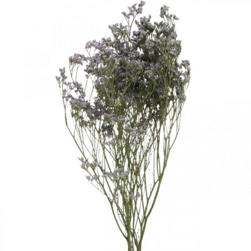 Floristik24 Dry Flowers, Sea Lavender, Statice Tatarica, Sea Lavender, Limonium Violet L45–50cm 30g