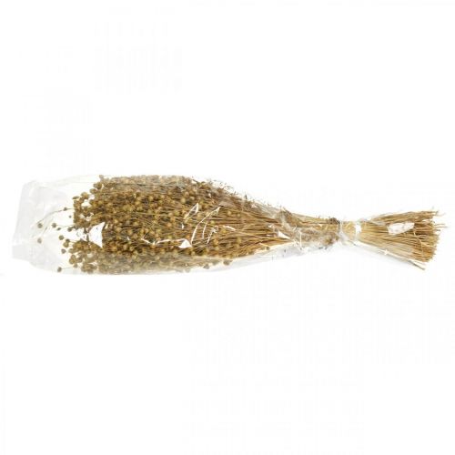 Floristik24 Natural flax, grasses for dried floristry, Linum natural product 160g