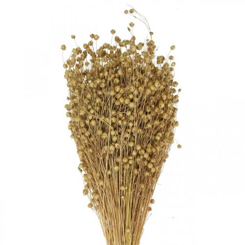 Floristik24 Natural flax, grasses for dry floristry, Linum natural product 160g