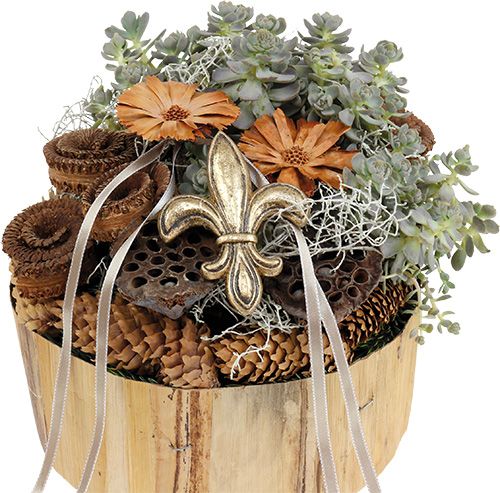 Product Lotus bulb large 100 pcs natural