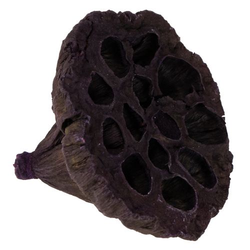 Product Lotus Mix Pink, Erika Ø6cm - Ø10cm 50 pcs