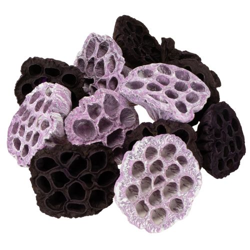 Product Lotus Mix Pink, Erika Ø6cm - Ø10cm 50 pcs