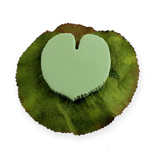 Floristik24 Lotus flower floating 18cm white 3pcs