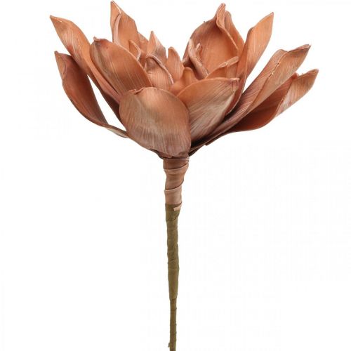Lotus Flower Artificial Plant Artificial Lotus Flower Brown L64cm