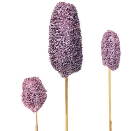 Floristik24 Luffa on a stem, small, dried, decorative berry, 5-12cm, 25 pieces