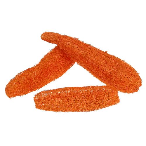 Floristik24 Luffa large orange 20 pcs