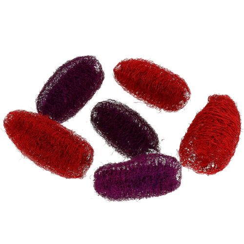 Floristik24 Luffa sorted violet, wine red 9cm – 12cm 50 pcs