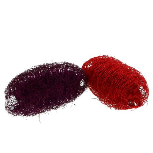 Floristik24 Luffa sorted violet, wine red 9cm – 12cm 50 pcs
