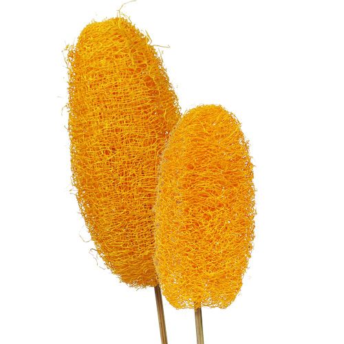Large loofah on a stick, golden yellow, 25 pieces