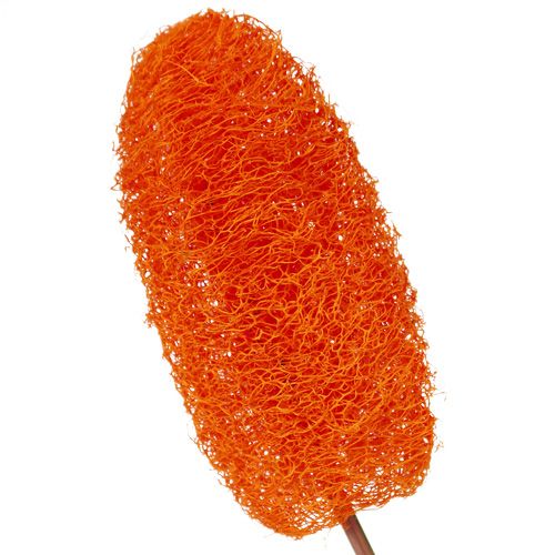 Product Luffa small on a stick orange 25 pcs