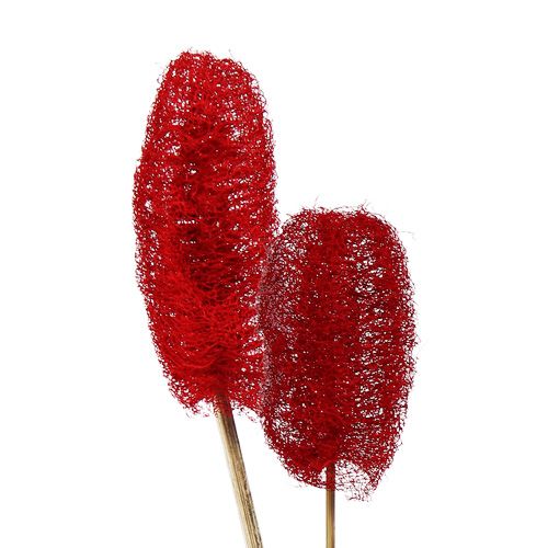 Floristik24 Luffa large on a stick red 25 pcs
