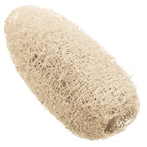 Product Luffa large bleached 20 pcs