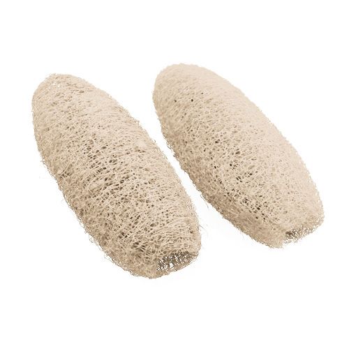 Product Luffa small bleached 50 pcs