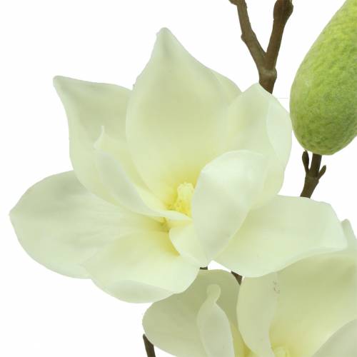 Product Magnolia Real Touch White 70cm
