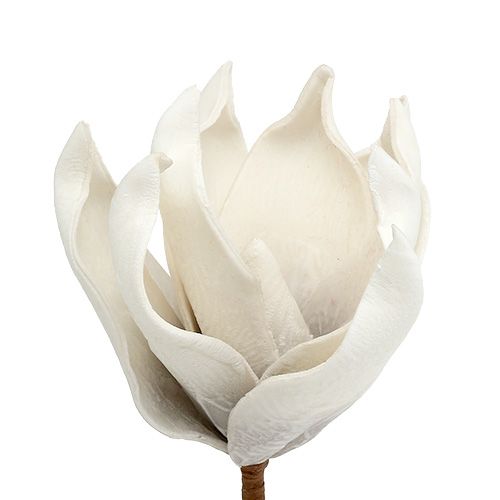Product Magnolia blossom made of foam gray, white Ø10cm L26cm 4pcs