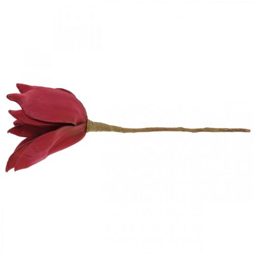 Floristik24 Artificial Magnolia Red Artificial Flower Foam Flower Decoration Ø10cm 6pcs