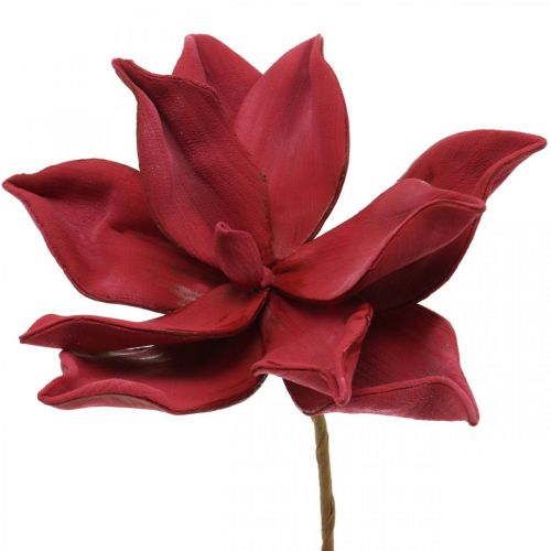 Floristik24 Artificial Magnolia Red Artificial Flower Foam Flower Decoration Ø10cm 6pcs