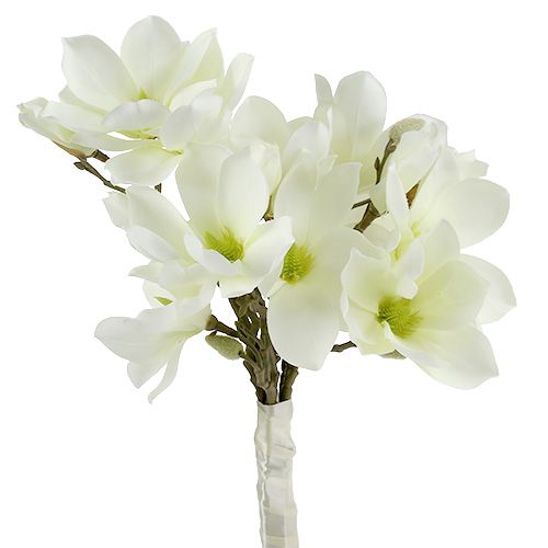 Floristik24 Magnolia Bunch White 40cm 5 pcs